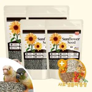 [하프클럽/올펫몰]스위트버디 데일리 해바라기씨 350gx4 앵무새 햄스터