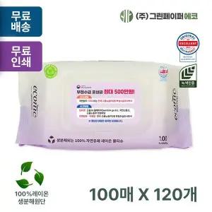 에코닉 FQQ182N2 그린 100매 40gsm 대형물티슈 캡형 판촉 홍보 전도용 120개