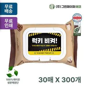 에코닉 LZT619Y5 브라운 30매 40gsm 화이트캡 휴대용 물티슈 판촉 홍보 전도용 300개