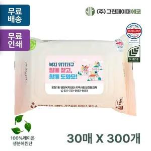 에코닉 LHV525S0 그린 30매 40gsm 클리어캡 휴대용 물티슈 판촉 홍보 전도용 300개