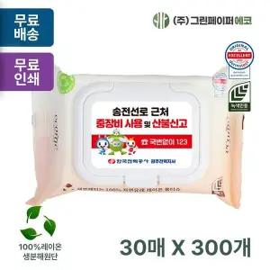 에코닉 VKU897C2 그린 30매 40gsm 화이트캡 휴대용 물티슈 판촉 홍보 전도용 300개