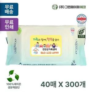 에코닉 LWL554S4 그린 40매 40gsm 클리어캡 휴대용 물티슈 판촉 홍보 전도용 300개