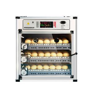 병아리육추기 병아리 계란 곰 달걀 알 닭 부화기