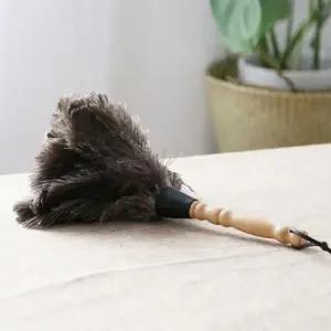 털이먼지 타조 먼지털이개