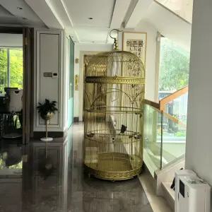 원형 새장 대형 앵무새 케이지 철제 사육장 테라스 야외 조류 스테인리스 직경