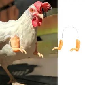 소품 관상닭 꾸미기 반려동물 철사 반려 전용 기르기 닭의팔 장식품