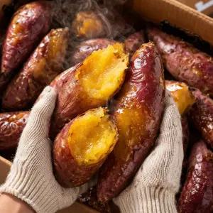 2026 첫수확 해남 꿀범벅 햇 호박고구마 10KG 특상