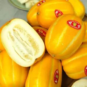 산지발송 2026 성주 꿀범벅 아삭이 햇 참외 5KG 대과