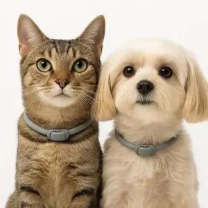 강아지용품 강아지 진드기 퇴치 목걸이 애완동물 모기퇴치 48cm