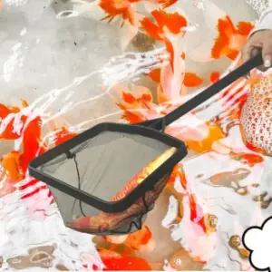 1개 L 수조 막대 금붕어 뜰채 그물 망 어항 축제 이벤 어항뜰채 미니뜰채 치어뜰채