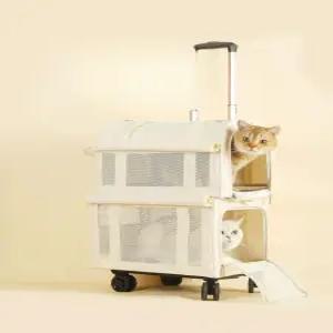 고양이 2단 산책가방 백팩 책가방 다묘가정 접이식 가방