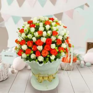 쁘띠 마리앙투MTFA026