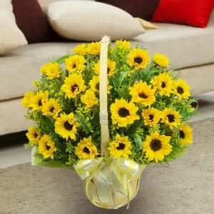 썬플라워 바스켓MTFA050