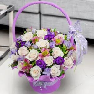 프레쉬프루티MTFA129