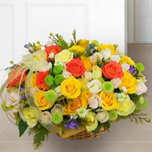 별이빛나는밤MTFA111