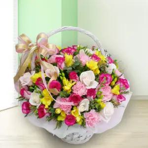 스프링 레인MTFA103