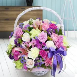 버터플라이MTFA101