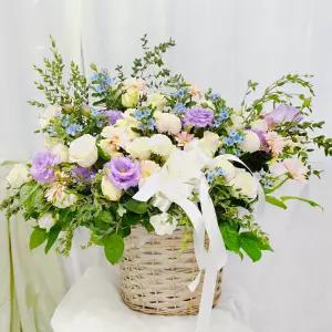 (특대형)스페셜 이벤트MTFA163