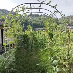 장미 대문 스테인레스 정원 야외 프레임 플라워 웨딩 아치