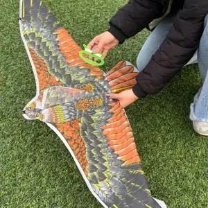 110cm 독수리연 인기제품 새쫓는연 트렌드 새퇴치기 연날리기 새쫓는