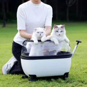 투명 산책 이동 산책가방 가방 유모차 애견 고양이