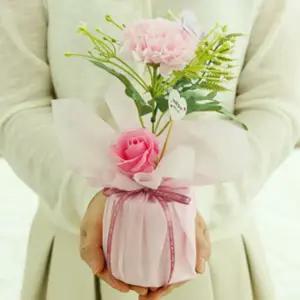 한송이 카네이션 선물 어버이날 스승의날 단체 부모님 선생님선물 인테리어 소품 세아커머스