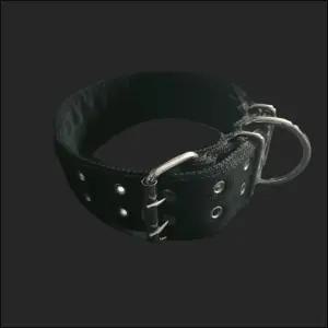 PP 밸트 개목줄 50mm 70cm 검정 강아지 목줄 대형견