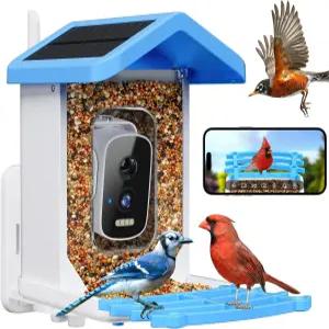 카메라가 장착된 스마트 버드 피더 AI 조류 종 식별 태양광 패널 야외 정원용 2.5k HD 비디오 하우스