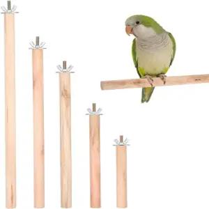 비문 우드 버드 농어 스탠드 5pcs 앵무새 케이지 스틱 스탠딩 코카티용 나뭇가지 막대 새 연삭 장난감