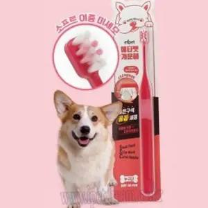 [골드스마일]클린 소프트 칫솔 슬림넥 미세모 칫솔 구석 핸들