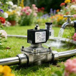 AC 110V 220V 24V 스테인레스 스틸 상시 닫힘형 솔레노이드 밸브