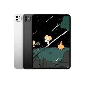 아이패드 프로 13 M4 WIFI 256G 스페이스 블랙