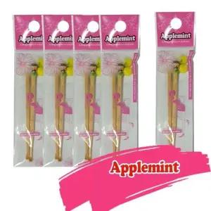 [에스에스_62]홈아트 대나무 귀이개 10개 오리털 민트