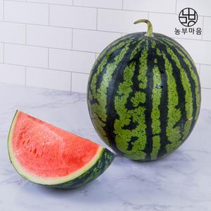 [장터할매]고당도 선별발송 하우스 수박 4kg~7kg