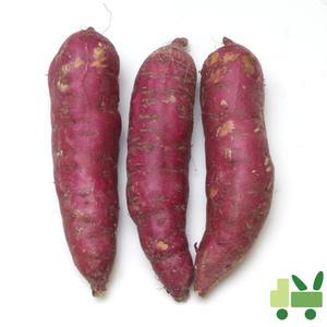 고구마 10Kg (상/특/긴상/긴특)