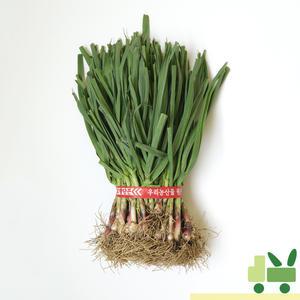 풋마늘 (1단) 1.5kg