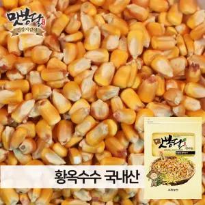 25년산 옥수수알 황옥수수 황옥 옥수수알 메옥수수 옥수수차 볶음용 국내산 10kg 마대포장