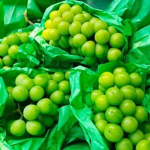 프리미엄 고당도 샤인머스켓 망고포도 1.5kg 2kg