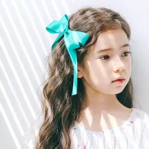 엘리제 포니테일 집게 머리끈 유아헤어핀