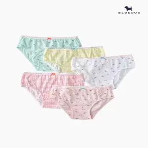 체리 체크 5종 팬티_PK (2491051154)