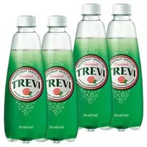 탄산 롯데 트레비 자몽 x 300ml 40PET (20펫x2박스)