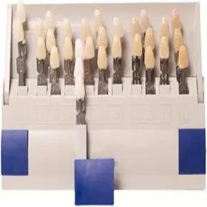 ZJChao 치아 그늘막 29가지 탈착식 색상 비교 미백 차트