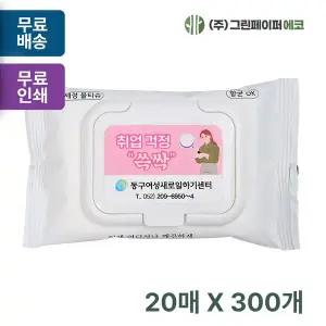 손세정 FGS177N6 캡형 20매 휴대용 물티슈 판촉 홍보 전도용 300개