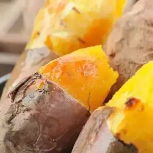 [최종 11,400] [품질보증] 25년 햇 꿀이 뚝뚝 해남 베니하루카 꿀고구마 5kg (대)