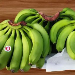 [거북농산] 생 그린 바나나 13kg내외(요리용)