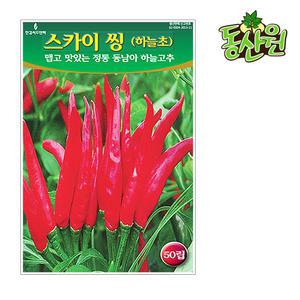 스카이씽고추씨앗 50립 고추종자 동남아하늘초 매운고추씨앗