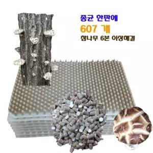 표고버섯종균 607구올해백화고수확 느타리 송화버섯종균