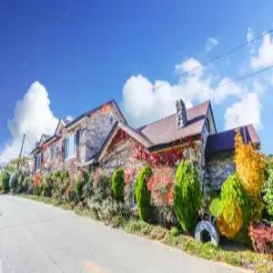 [충남 펜션] 태안 옛집황토방펜션 (태안,안면도)