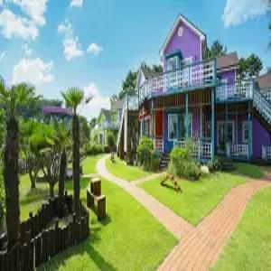 [경북 펜션] 경주 애견펜션노비오스 (경주(보문단지,황리단길,불국사,양남,감포,안강))