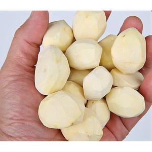 2025년 햇밤으로 만든 공주 생 生 컵밤 생율 450g 아삭 밤 깐밤 탈피밤/공주밤/깐밤/생밤/컵밤